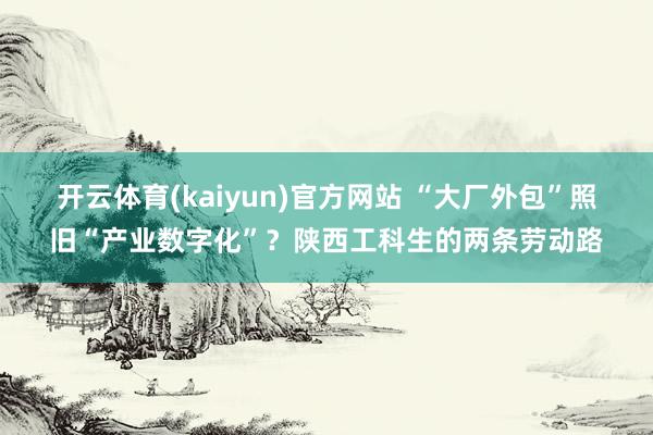 开云体育(kaiyun)官方网站 “大厂外包”照旧“产业数字化”？陕西工科生的两条劳动路