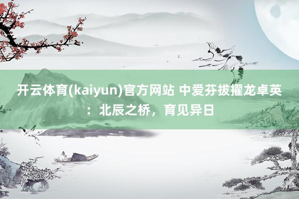 开云体育(kaiyun)官方网站 中爱芬拔擢龙卓英：北辰之桥，育见异日
