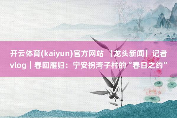 开云体育(kaiyun)官方网站 【龙头新闻】记者vlog｜春回雁归：宁安拐湾子村的“春日之约”