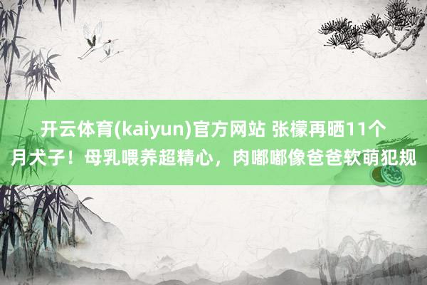 开云体育(kaiyun)官方网站 张檬再晒11个月犬子！母乳喂养超精心，肉嘟嘟像爸爸软萌犯规