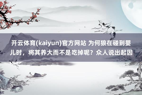 开云体育(kaiyun)官方网站 为何狼在碰到婴儿时，将其养大而不是吃掉呢？众人说出起因