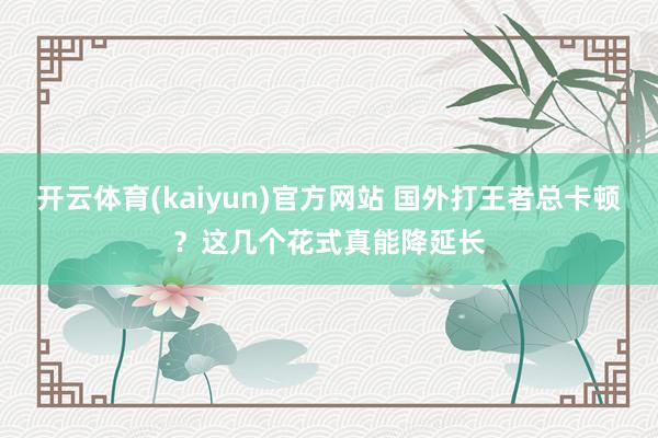 开云体育(kaiyun)官方网站 国外打王者总卡顿？这几个花式真能降延长