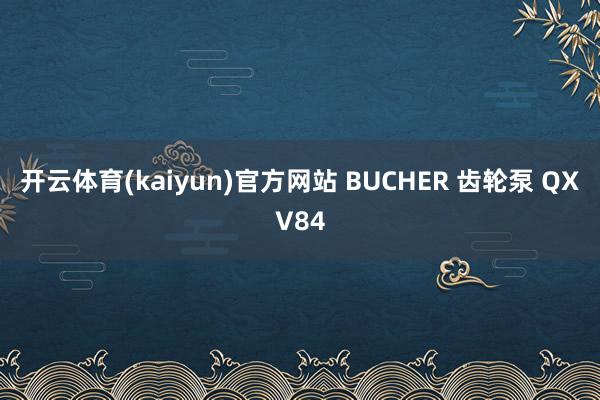 开云体育(kaiyun)官方网站 BUCHER 齿轮泵 QXV84