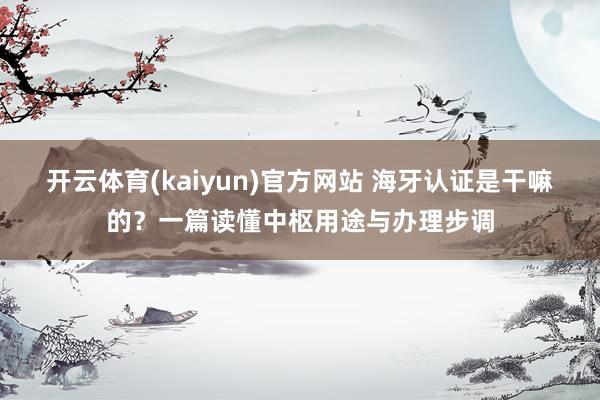 开云体育(kaiyun)官方网站 海牙认证是干嘛的？一篇读懂中枢用途与办理步调
