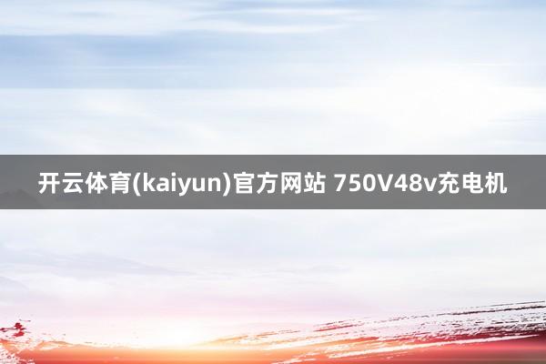 开云体育(kaiyun)官方网站 750V48v充电机