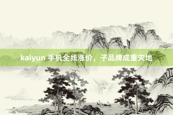 kaiyun 手机全线涨价，子品牌成重灾地
