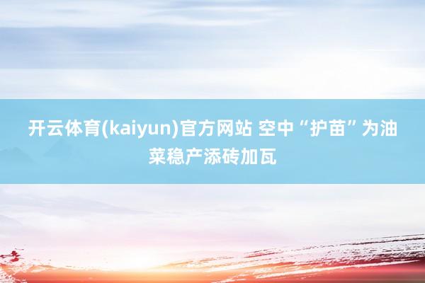 开云体育(kaiyun)官方网站 空中“护苗”为油菜稳产添砖加瓦