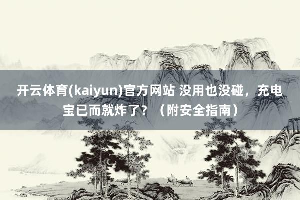 开云体育(kaiyun)官方网站 没用也没碰，充电宝已而就炸了？（附安全指南）