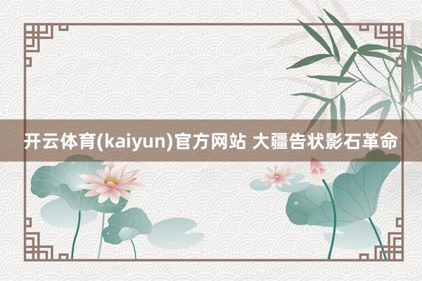 开云体育(kaiyun)官方网站 大疆告状影石革命