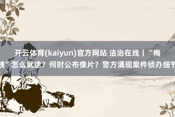 开云体育(kaiyun)官方网站 法治在线丨“梅姨”怎么就逮？何时公布像片？警方涌现案件侦办细节