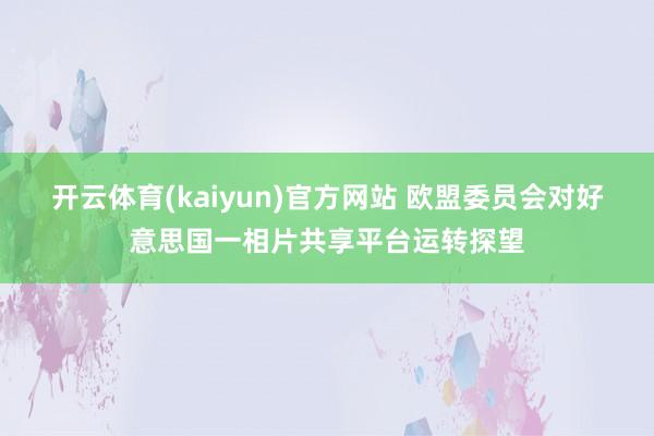 开云体育(kaiyun)官方网站 欧盟委员会对好意思国一相片共享平台运转探望