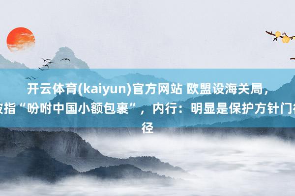 开云体育(kaiyun)官方网站 欧盟设海关局，被指“吩咐中国小额包裹”，内行：明显是保护方针门径