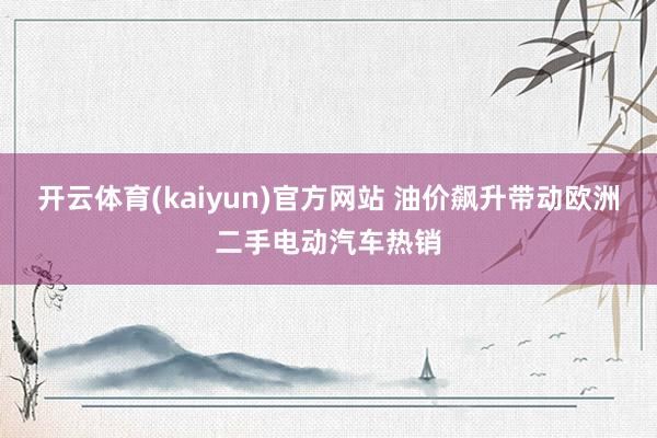 开云体育(kaiyun)官方网站 油价飙升带动欧洲二手电动汽车热销