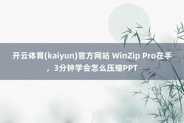 开云体育(kaiyun)官方网站 WinZip Pro在手，3分钟学会怎么压缩PPT