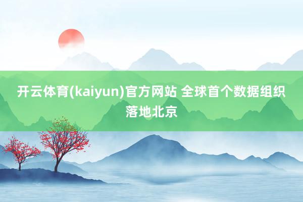 开云体育(kaiyun)官方网站 全球首个数据组织落地北京