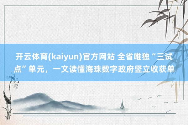 开云体育(kaiyun)官方网站 全省唯独“三试点”单元，一文读懂海珠数字政府竖立收获单
