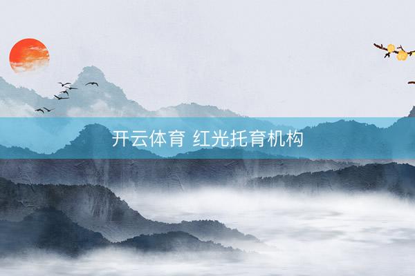 开云体育 红光托育机构