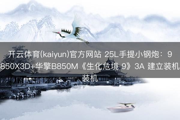 开云体育(kaiyun)官方网站 25L手提小钢炮:9850X3D+华擎B850M《生化危境 9》3A 建立装机