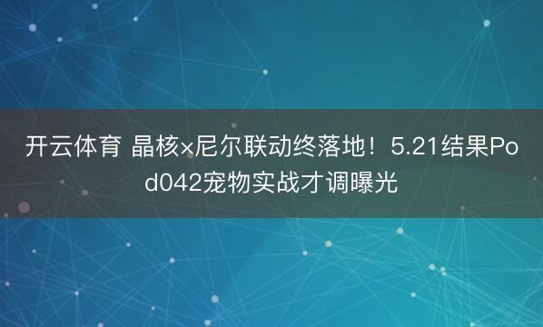 开云体育 晶核×尼尔联动终落地！5.21结果Pod042宠物实战才调曝光