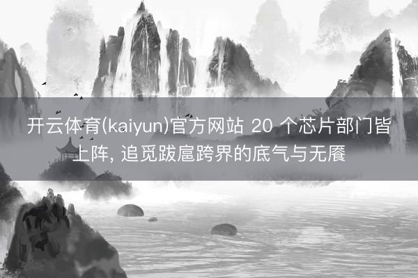 开云体育(kaiyun)官方网站 20 个芯片部门皆上阵， 追觅跋扈跨界的底气与无餍