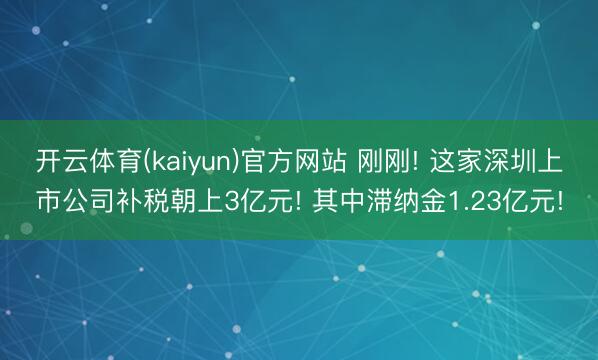 开云体育(kaiyun)官方网站 刚刚! 这家深圳上市公司补税朝上3亿元! 其中滞纳金1.23亿元!